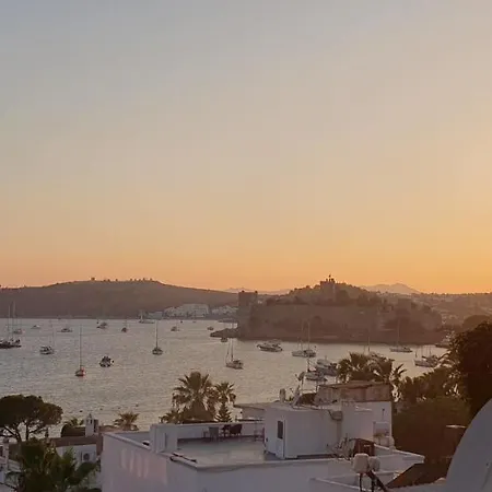 Sariaslan Uec Arti Bir Bodrum