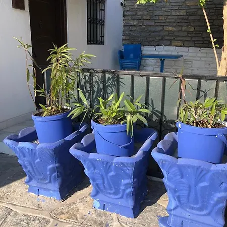 Sariaslan Uec Arti Bir