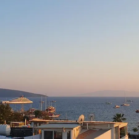 Sariaslan Uec Arti Bir *